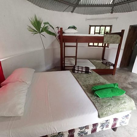 Guest House Great Hostels Amazon Puyo Εξωτερικό φωτογραφία
