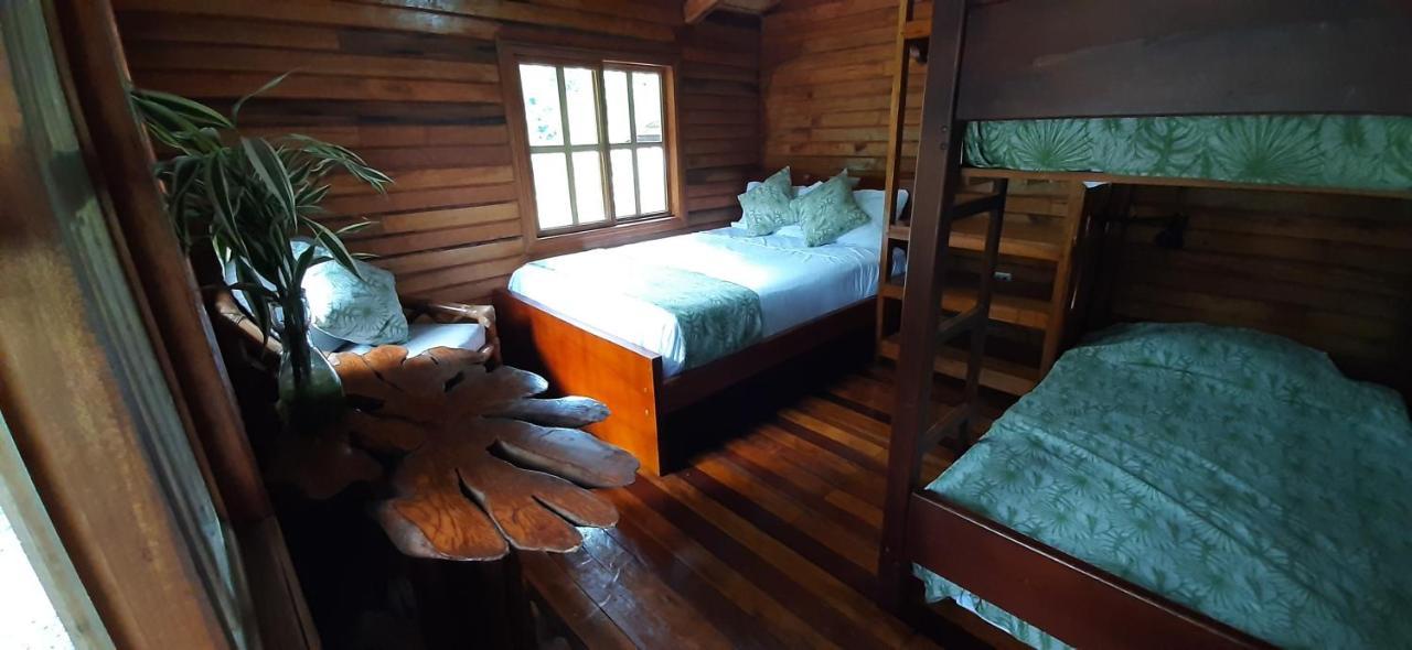 Guest House Great Hostels Amazon Puyo Εξωτερικό φωτογραφία