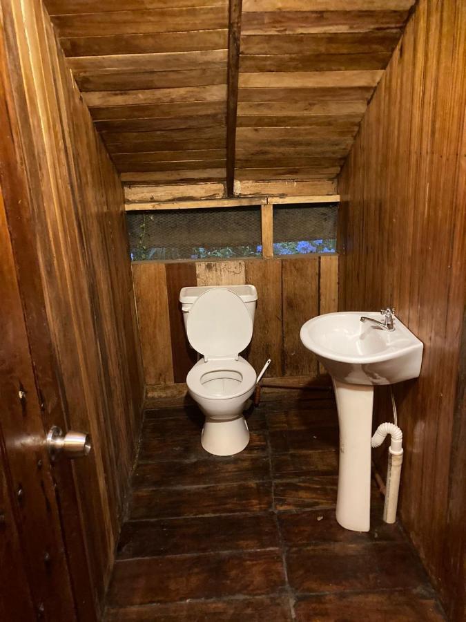 Guest House Great Hostels Amazon Puyo Εξωτερικό φωτογραφία