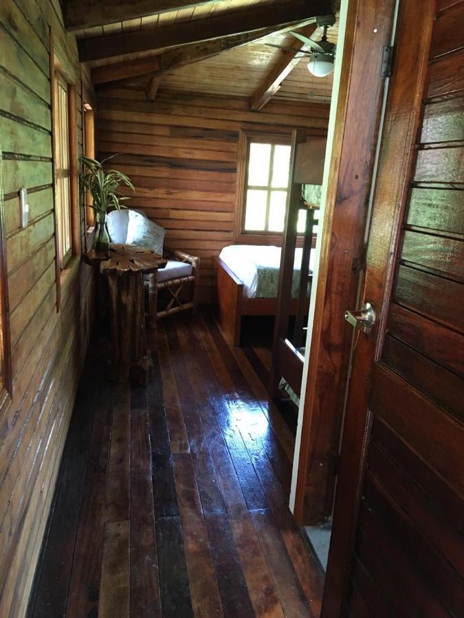 Guest House Great Hostels Amazon Puyo Εξωτερικό φωτογραφία