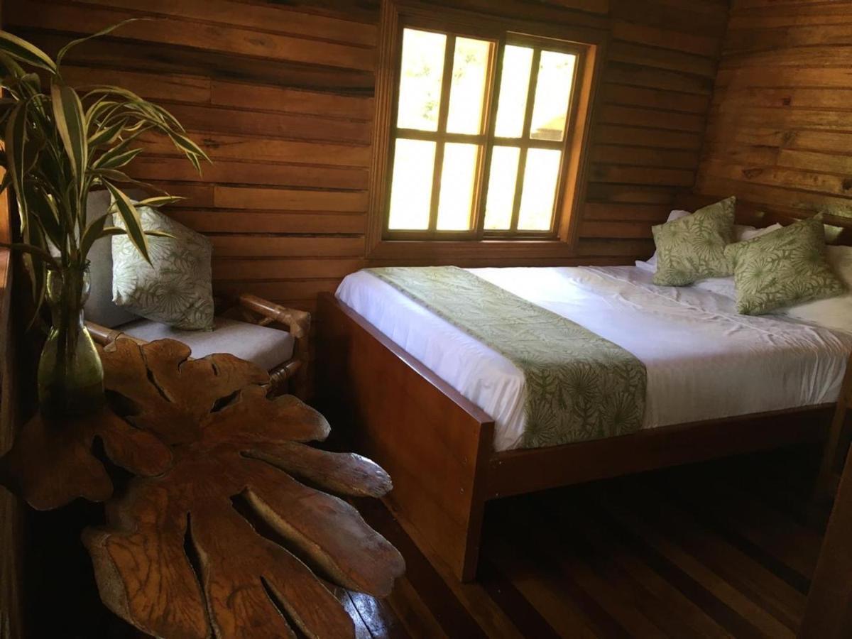 Guest House Great Hostels Amazon Puyo Εξωτερικό φωτογραφία